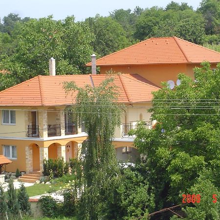 Janus Apartman Sárvár Kültér fotó
